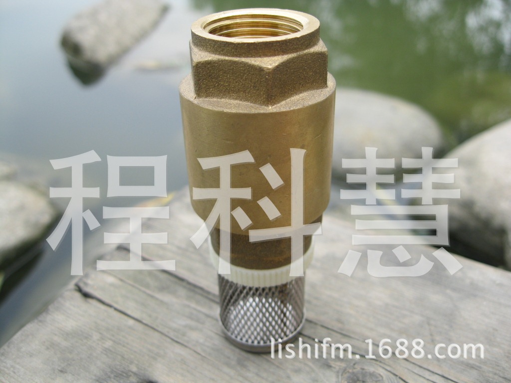 黄铜锻压立式止回阀弹簧水泵底阀单向阀止逆阀不锈钢过滤网玉环