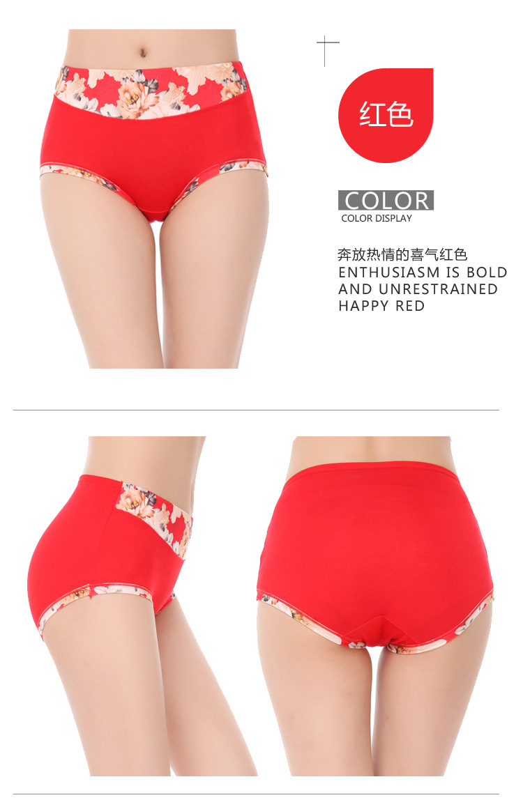 Slip jeunesse en coton - Ref 651448 Image 17