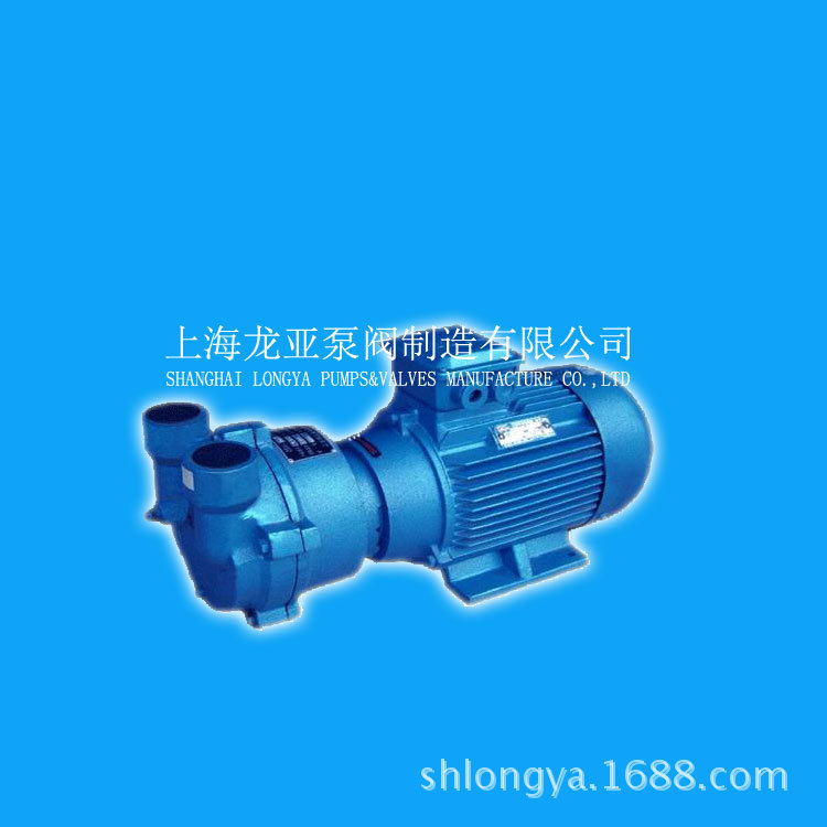 维修2BVA-5161-0KC防腐真空泵 2BV真空泵 2BV5161真空负压站