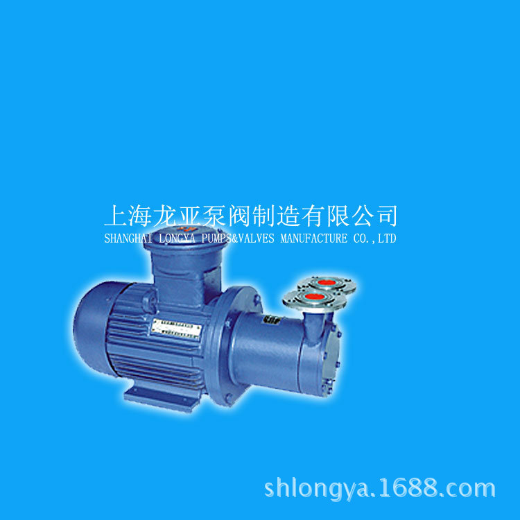 供应CWB20-40单相磁力泵 CWB32-50输送磁力泵 企业