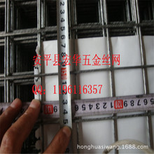 生产焊接网片 5x5cm孔方眼网片 热、电镀锌镀锌网片