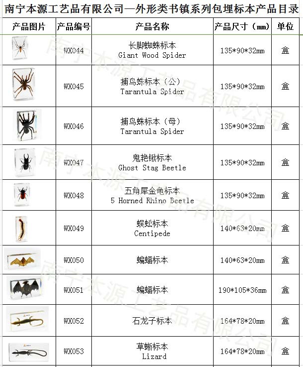本源公司外形系列包埋標本17