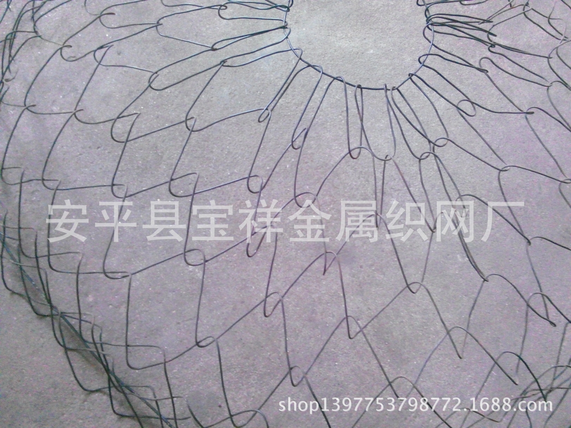 shugenwangIMG_20140605_155711