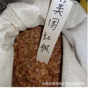 ���ش������ۼt���N�� �t���N�� �lѿ�ʸ� �����ƻ� �������l