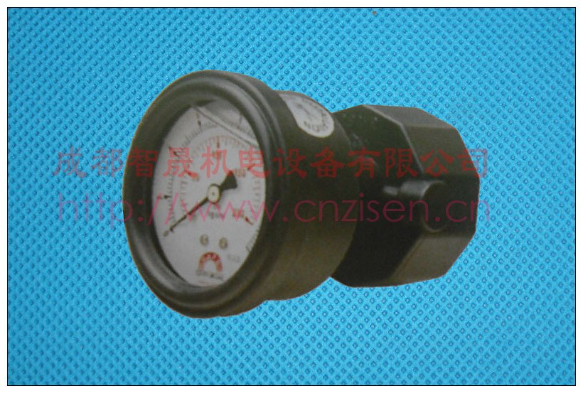 台湾华记PP隔膜压力表，充油压力表，轴向单面式，现货低价
