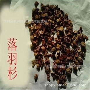 ���l����ɼ�N����ɼ��ɼ�N������ɼ�N�Ӵ�ɼ����ɼ��N�ӳ�ɼ��