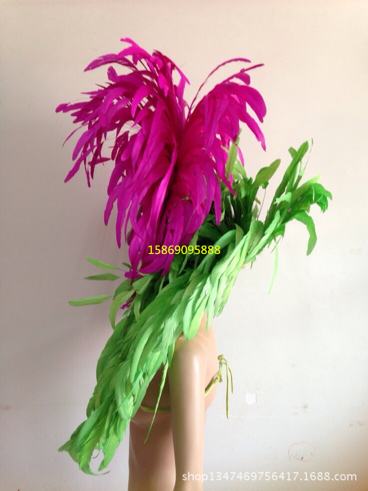 舞臺表演羽毛裝飾