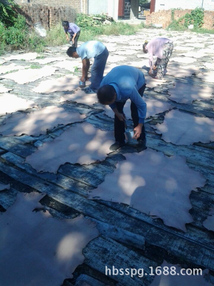 QQ图片20140903180730