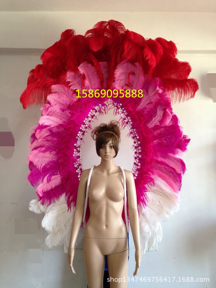 演出服裝羽毛裝飾