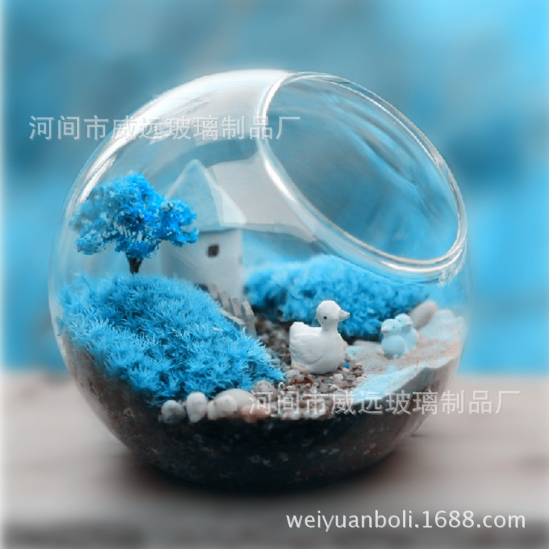 wholesale moss and lichen Micro Landscape Glass Eco-Bottle Small round Glass Beveled glass