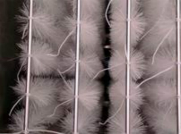 接触氧化池专业填料生化池填料滤料农村污水填料原杭州创源压滤机