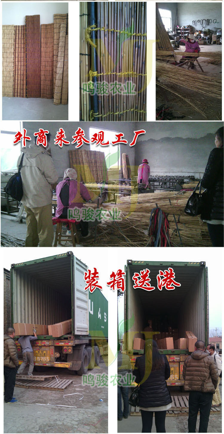 阿裡蘆葦專用 5