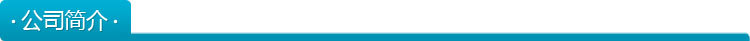 公司簡介1.1