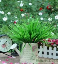 С�ѷ��滨 �¿�5������ˮ�� �b� ��������ˮ�� �S��ֱ�N