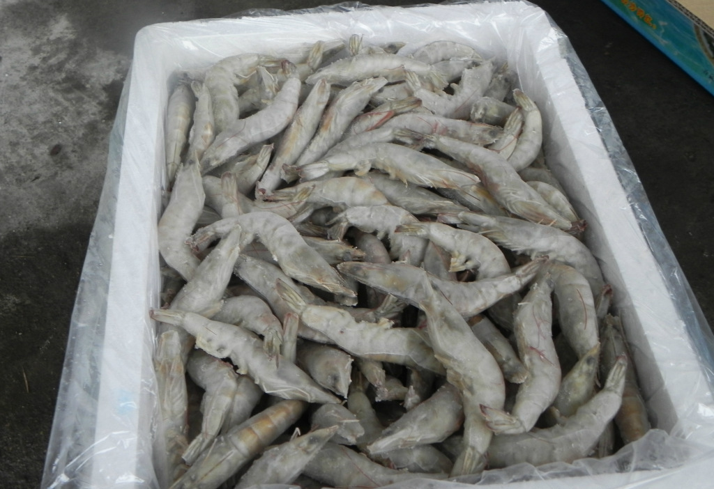 白对虾 白虾冰冻海虾海鲜批发 6斤\/箱批发