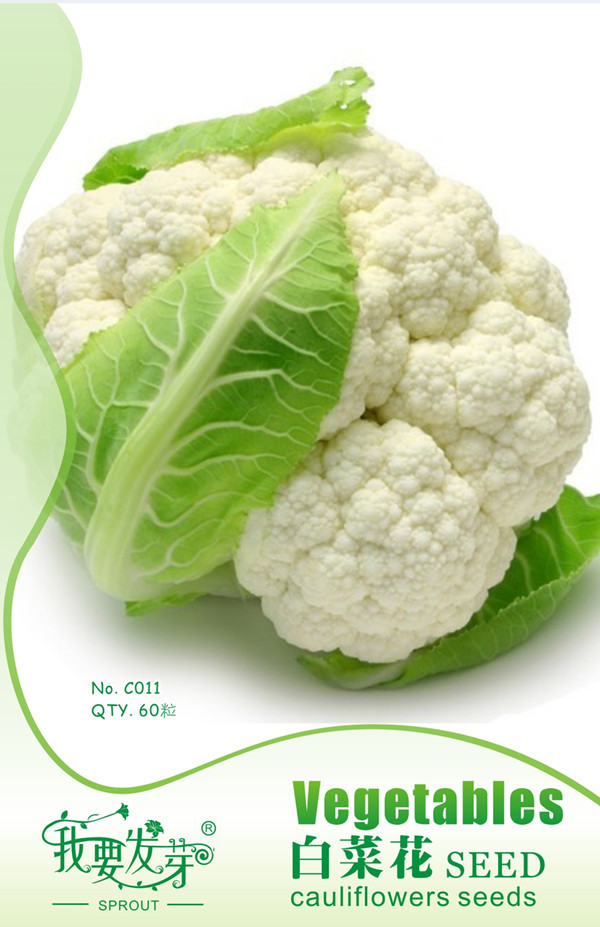 我要发芽蔬菜种子白菜花种子花球紧实白花菜洁白花椰菜60粒 包 阿里巴巴