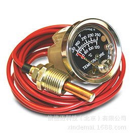 Murphy/摩菲 A20T-250-10-1/2 (10703162) 直感式温度表