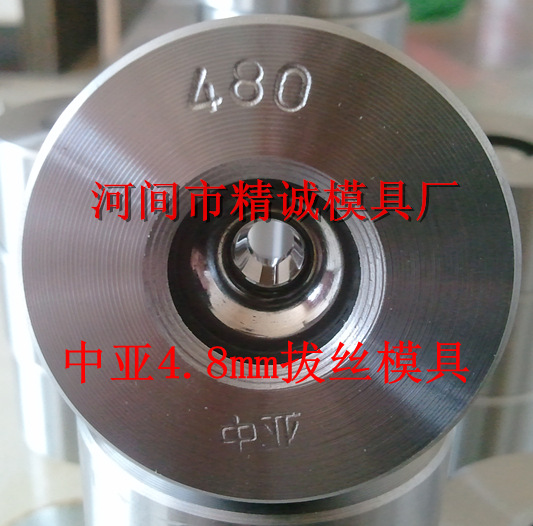 4.8mm拔絲模具_1