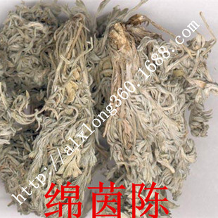 茵陈蒿图片_茵陈蒿图片大全 - 阿里巴巴海量精