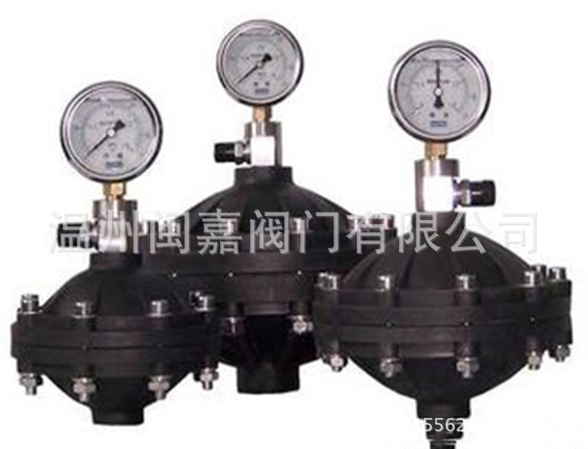 隔膜式脉冲阻尼器