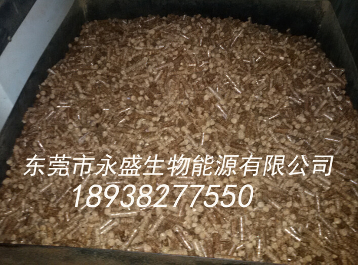 xxxa20141215010355