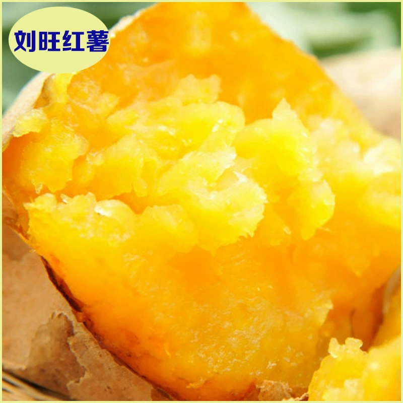 Xiongxian жареный сладкий картофель оптовая желтое сердце жареный сладкий картофель свежий сладкий жареный сладкий картофель Xiongxian сладкий жареный сладкий картофель