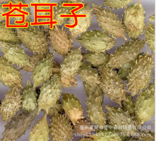 ���l������ș���n�������n���}�����NҎ��֧���؛