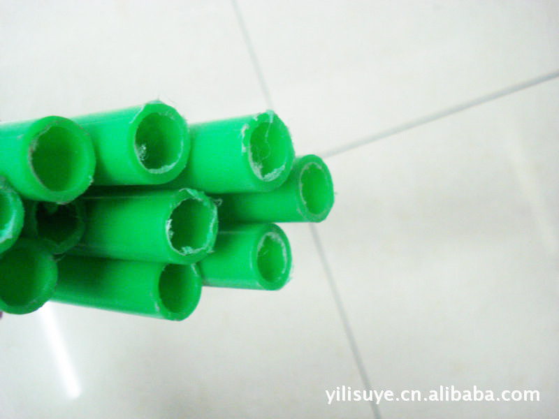 436394745_1977248005