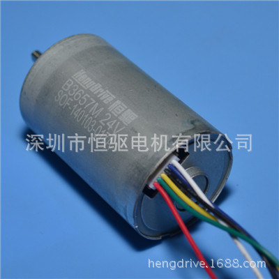 批量现货36mm外径DC24V微型直流电机3663rpm 11.2W无刷电机