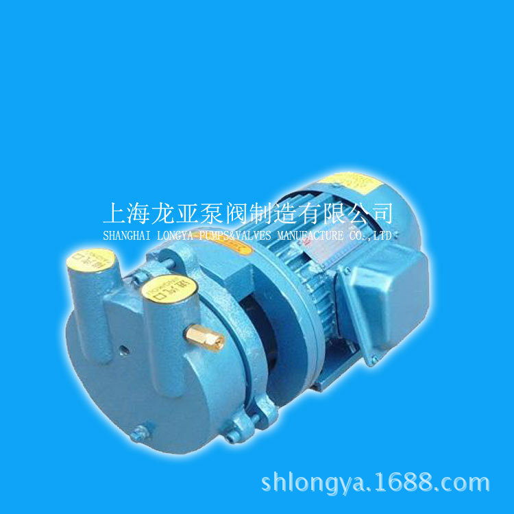 上海供应SZ-3移动式真空泵 SZ-1电机驱动真空泵