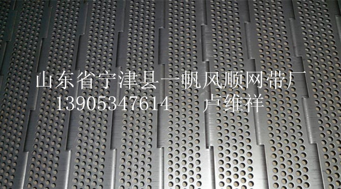 冲孔链板、制造精细!好质量!-210