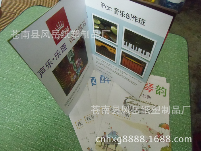 苍南厂家专业供应产品画册 公司画册 说明书印刷