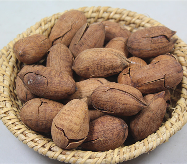 grain Pecan Longevity fruit direct deal 10 Jin/Case promotion price