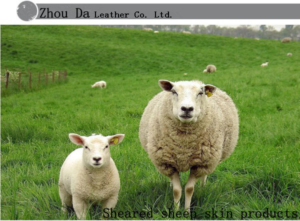 bacdc1c96124f69fde3ad44fc425_7