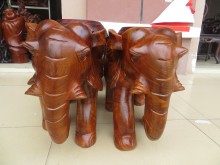������tľ������Խ�ϲݻ���ľ���� �tľ������ ��ľ��̴���