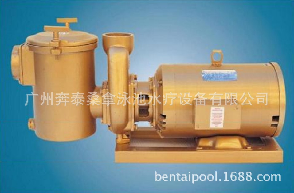 美国LEESON铜泵 利森铜泵 泳池过滤循环铜泵 泳池铜泵 5HP/380V