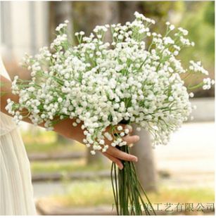 ���M���ǡ�������������M���� ��c��Ʒ���滨ֱ�N ����[���b�