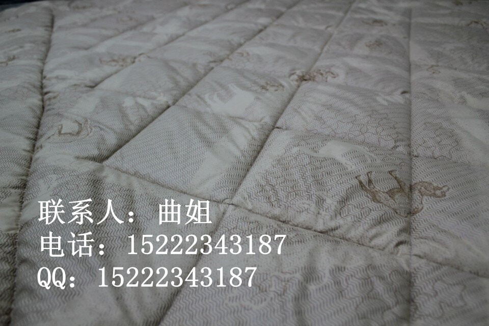 QQ圖片20140801170658_副本