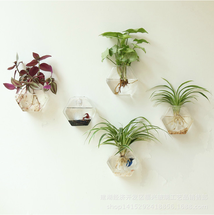 New products Hexagonal Glass Vase originality Modern simplicity Wall hanging vase fashion Home Furnishing Hydroponics Floral device