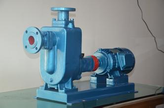 ZW自吸排污泵 50ZW15-30 高效无堵塞自吸排污泵 自吸泵