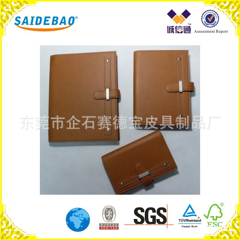 HG-1008A_conew1