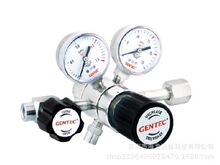 GENTECС�����p���y �p���p���y ���J�p���� R31SLMK-DGG-00-00