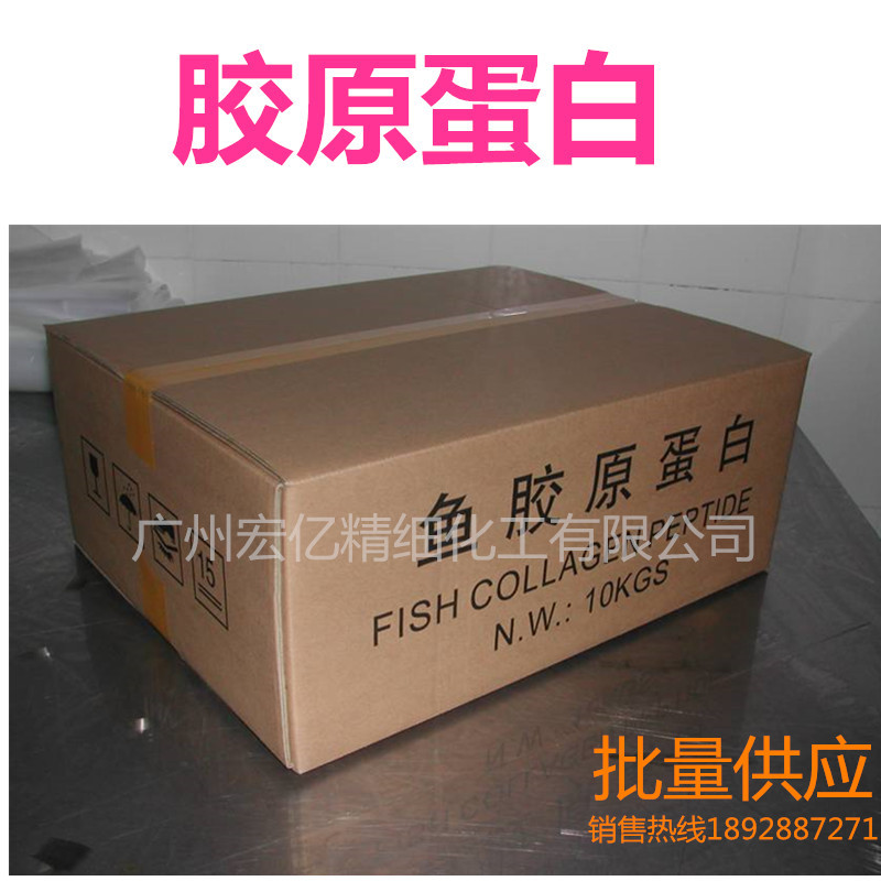 批发供应鱼胶原蛋白 鱼胶原蛋白粉 含量99%