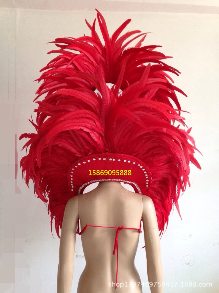 舞臺表演羽毛裝飾