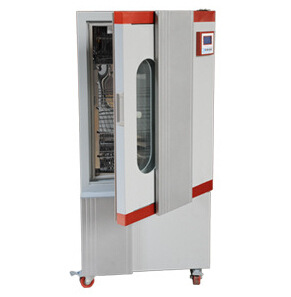 BSG-300,种子箱,三面光照培养箱 质优价惠 液晶显示