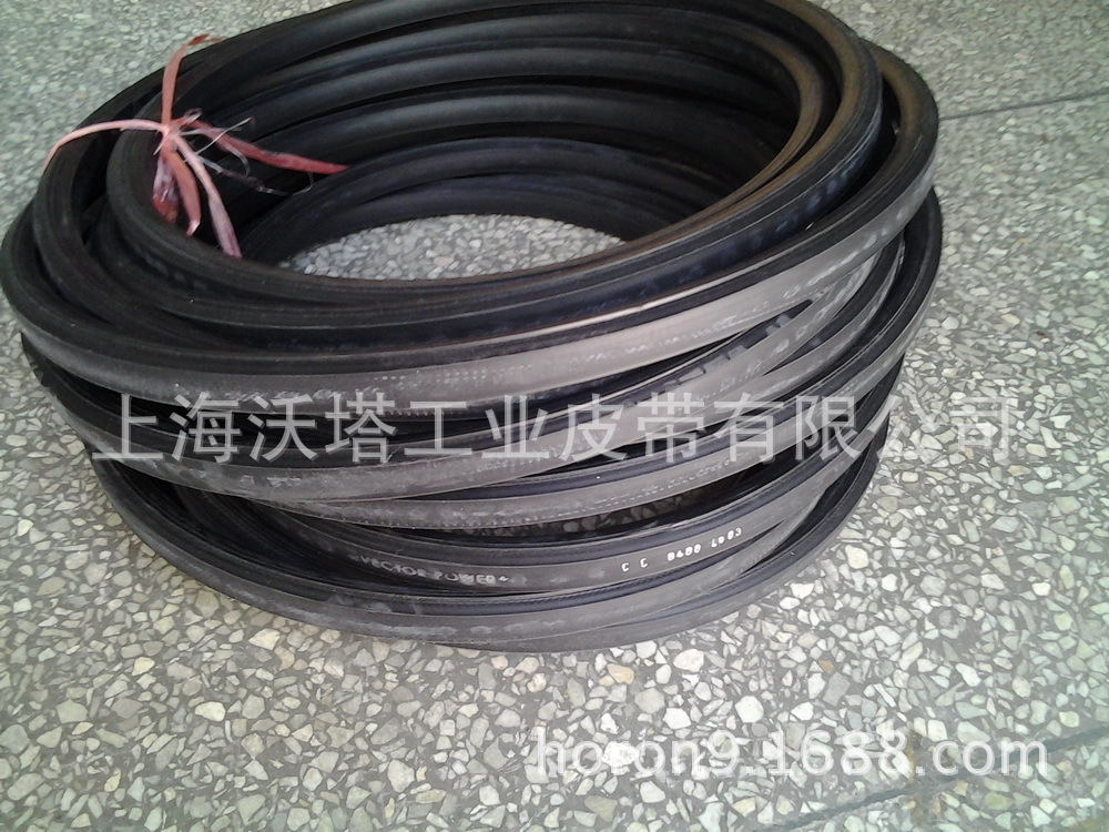 ������ɫ�к��VECTOR�������Ǵ� ���������Ǵ� CC��