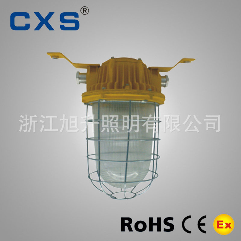 DGS24-127Y矿用防爆型节能灯