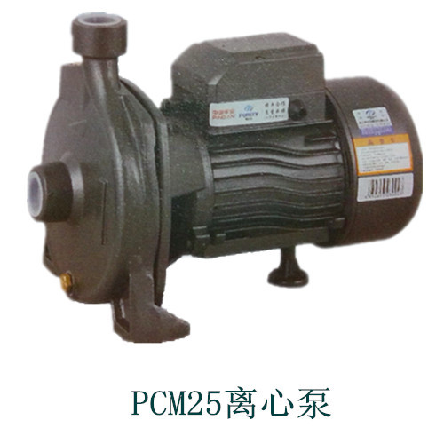 普轩特 水泵 PCM25/22 离心泵