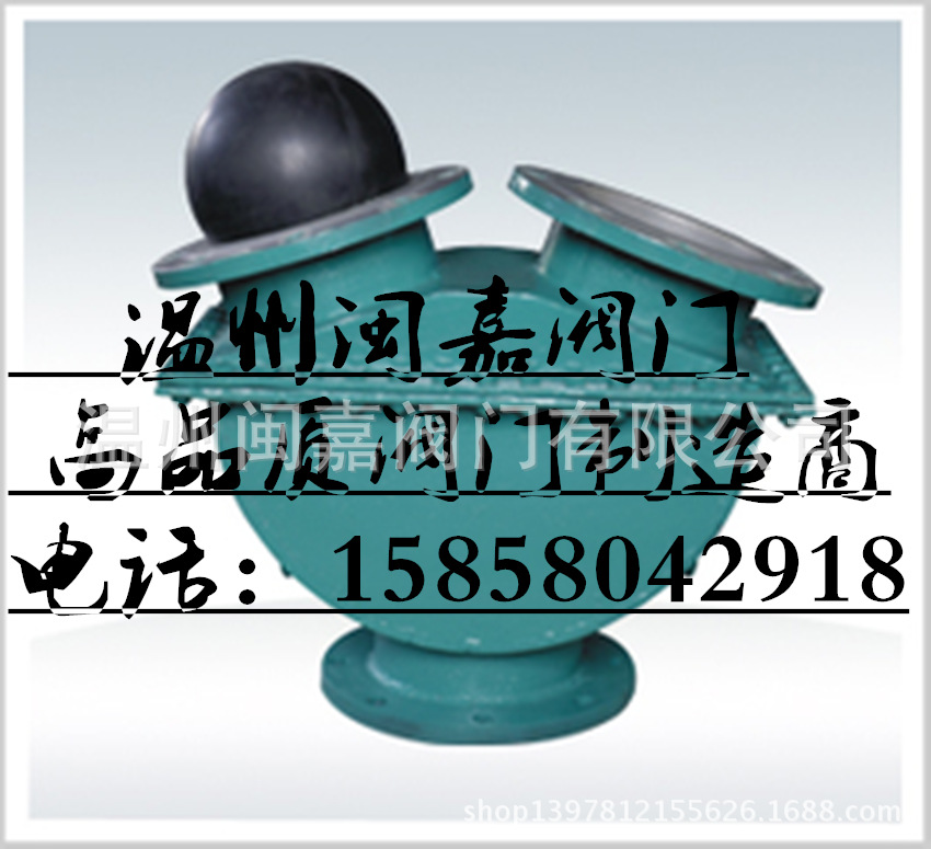 泰勒矿浆换向止回阀