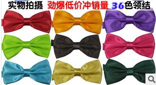 Supply adult color Tinto collar collar satin file monochrome spot…